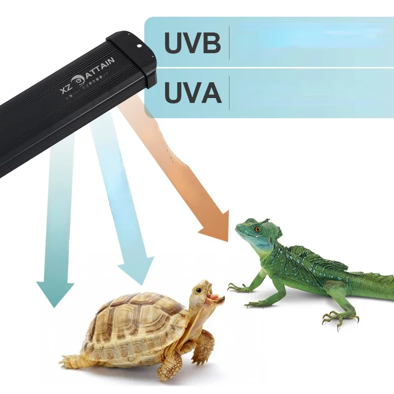 الزواحف UVA + UVB الطيف الكامل - مراجعة Calcium Powder Reptile وسعره