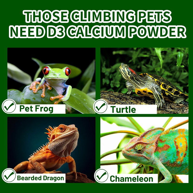 الزحف الحيوانات الأليفة فيتامي - مراجعة Calcium Powder Reptile وسعره