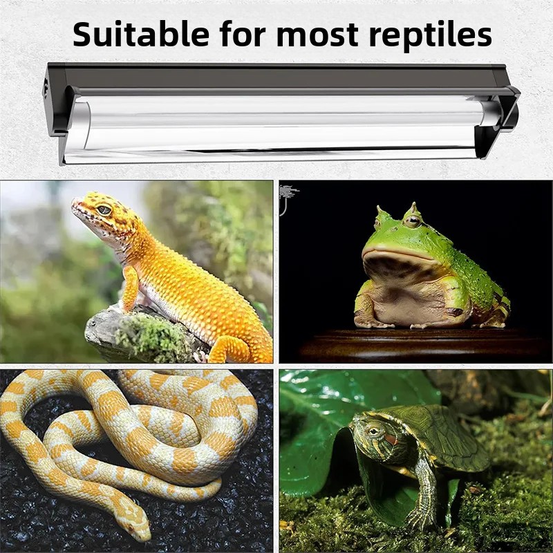 مصباح T5 UVB مع حامل مدمج وحوض - مراجعة Calcium Powder Reptile وسعره