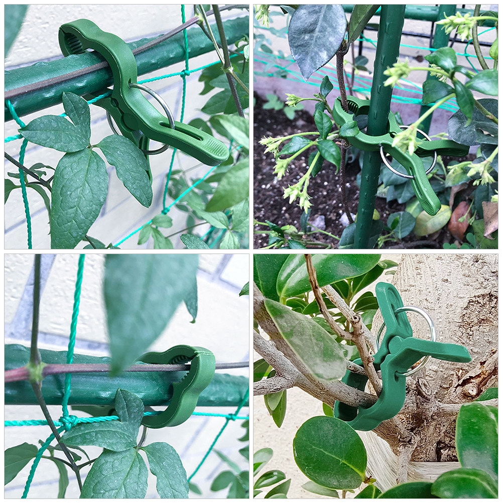 60 قطعة من مشابك تثبيت النباتا - مراجعة Vine Climbing Plastic وسعره