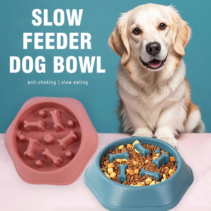 وعاء طعام للكلاب بطيء التناول  - مراجعة Royal Canin Food Medium وسعره